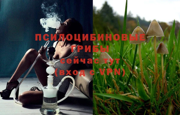 винт Кулебаки