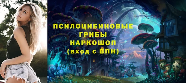 прущие крисы Куйбышев
