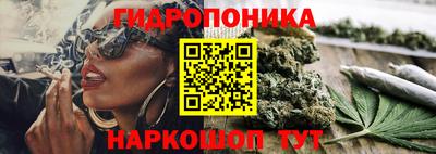 спайс Гагарин