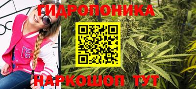 ECSTASY Гай