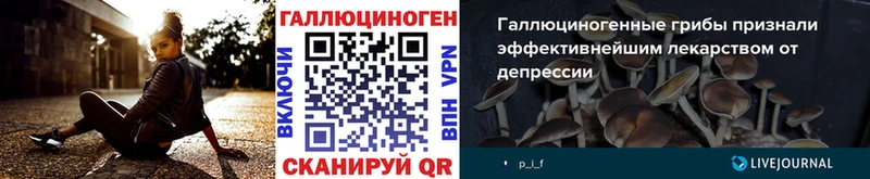 мега зеркало  Калуга  Псилоцибиновые грибы Cubensis 
