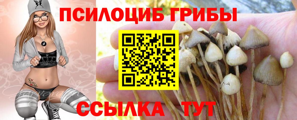 Псилоцибиновые грибы прущие грибы Калуга